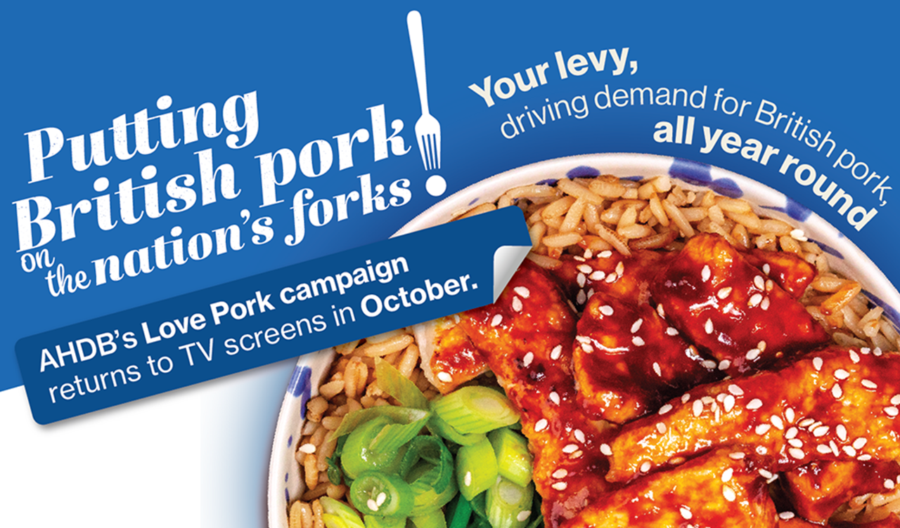 Promotional graphic featuring slogan: Putting British pork on the nation's forks.